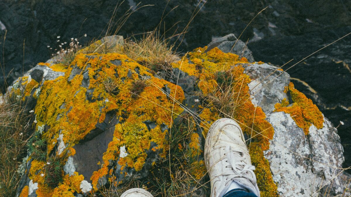 10 Proven Strategies to Boost Your Daily Motivation