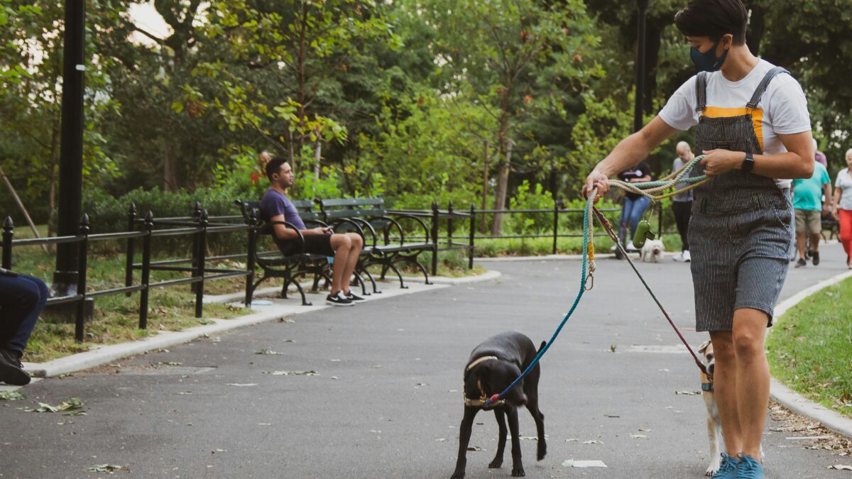 Animal Intelligence: Surprising Behaviors That Show We’re Not Alone