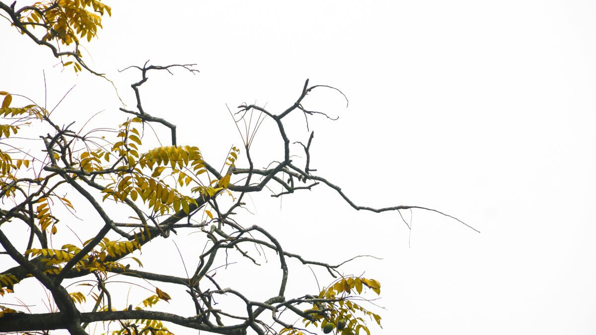 From Procrastination to Action: Transform Your Mindset with These Motivational Tips