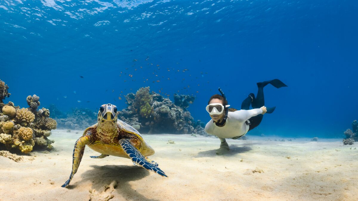 The Animal Kingdom Uncovered: Spotlight on Endangered Species